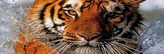 bernardm621's profile banner image