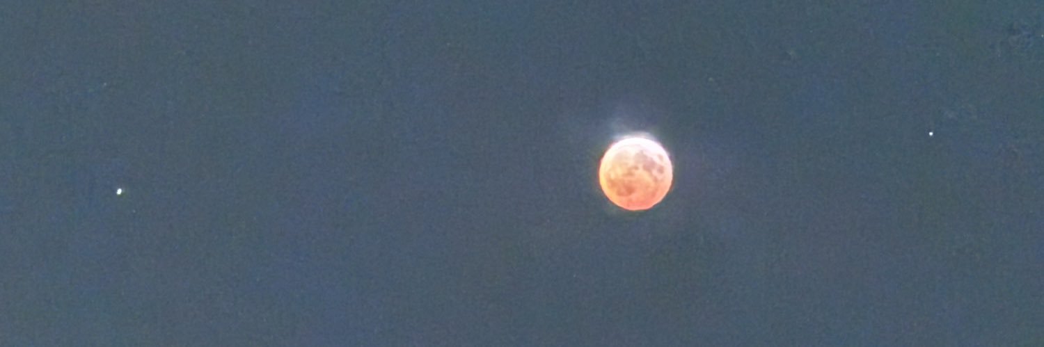 blvdsoja's profile banner image