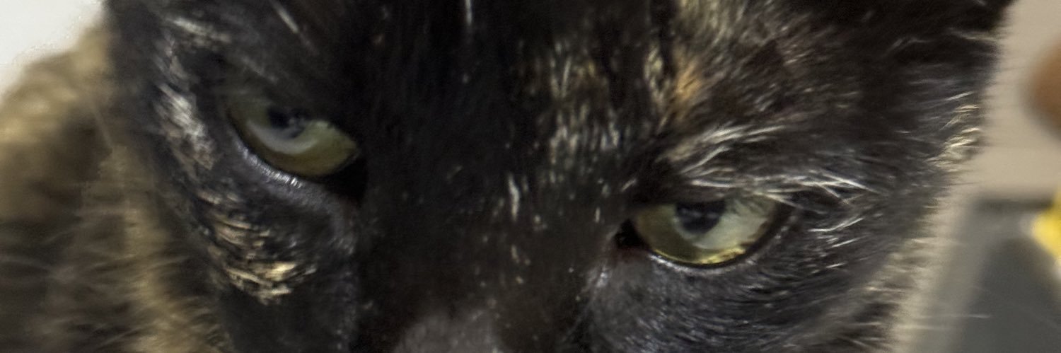 kmatossss's profile banner image