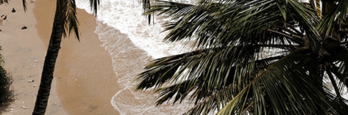 alwadanni's profile banner image