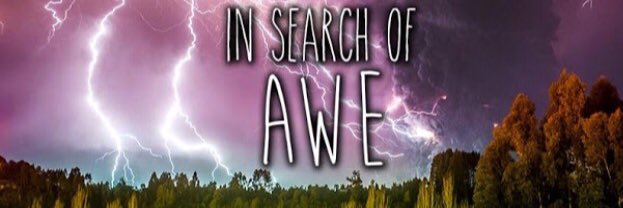 dancenetty's profile banner image