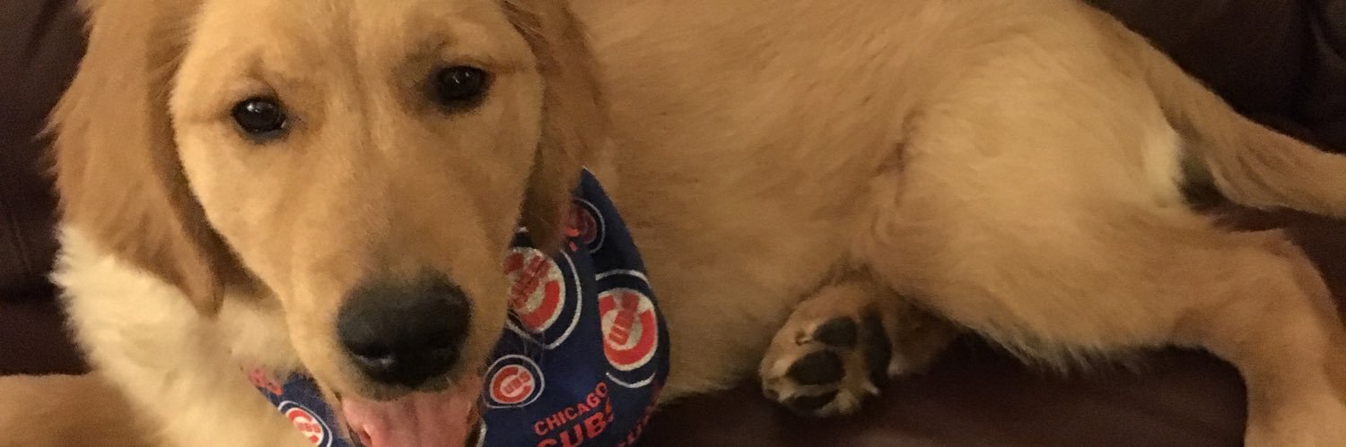 dpeyton311's profile banner image