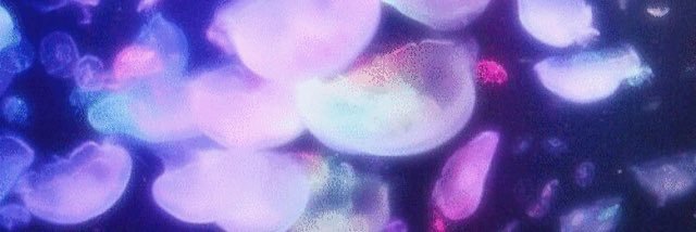 ___R_y_O4's profile banner image