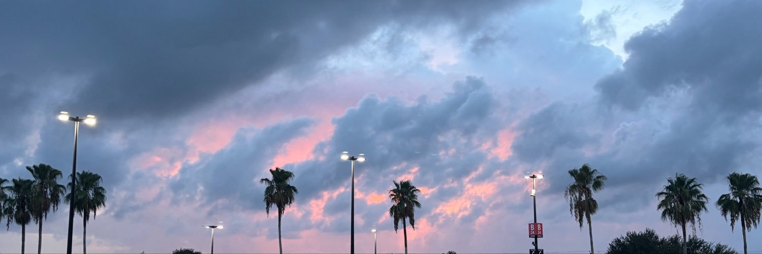 angeldinomite's profile banner image