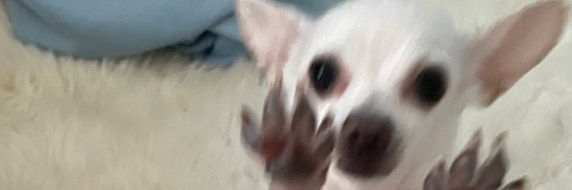 heidikinnns's profile banner image