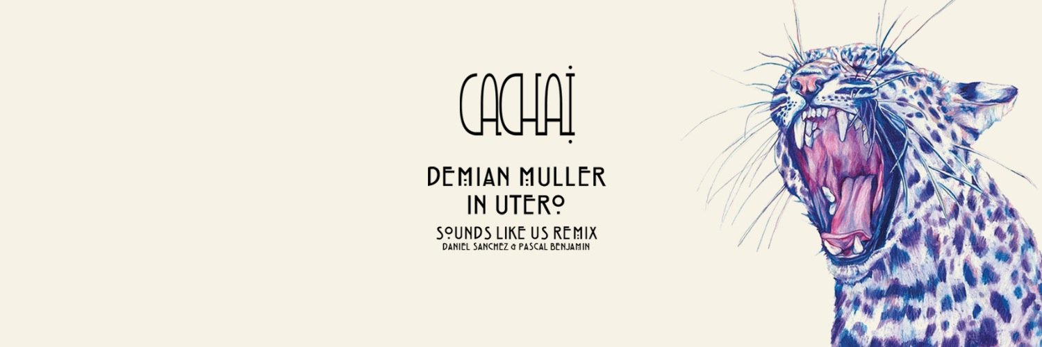 Cachaimusic's profile banner image