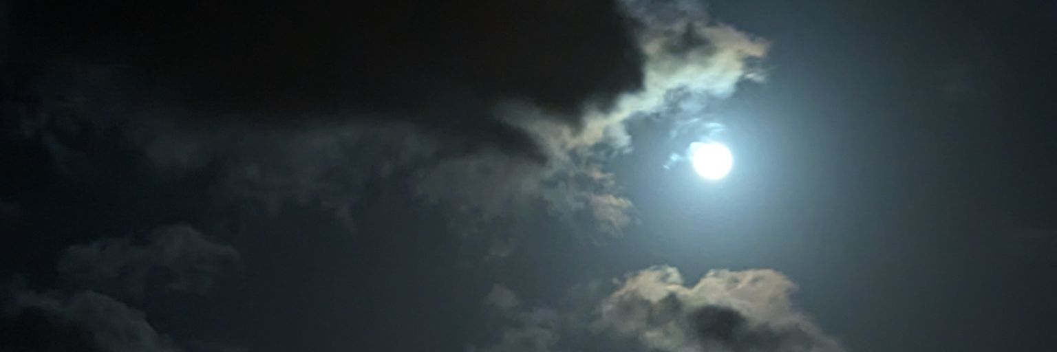 propeoh's profile banner image