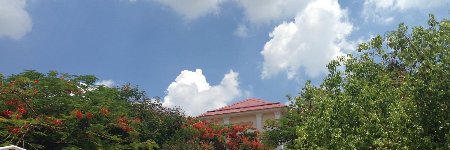 hamy1324's profile banner image
