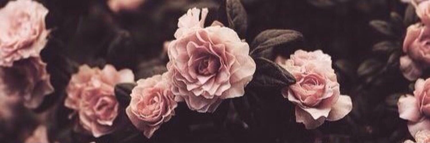 fleurdelis30's profile banner image