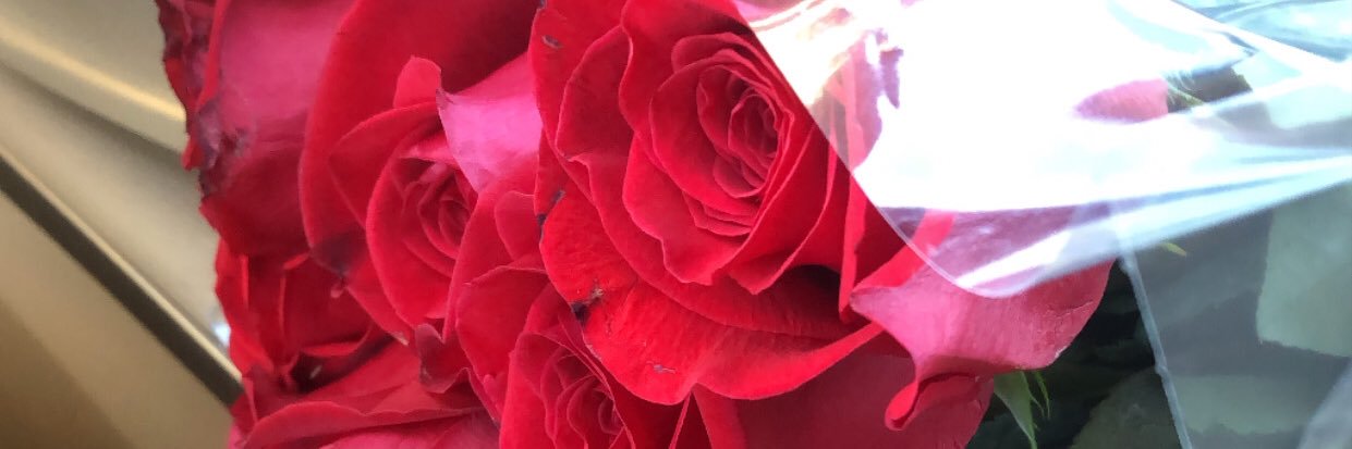 MsKMeredith's profile banner image