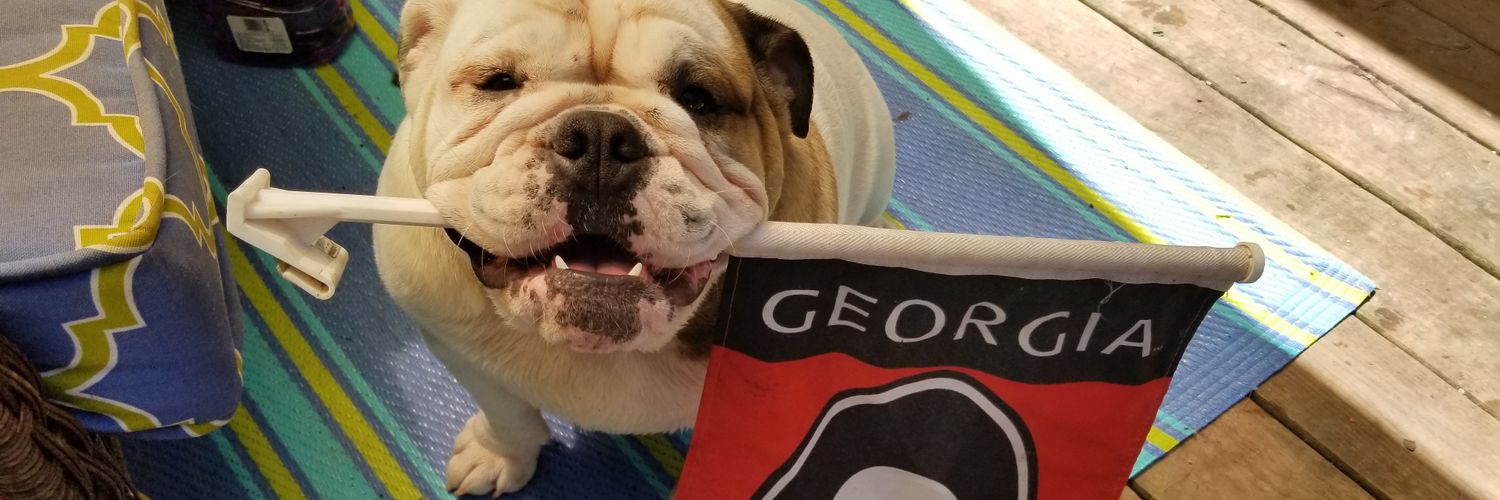 Gaterdawg banner