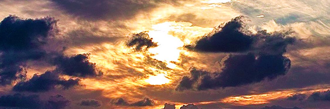 grace_jacobsen's profile banner image