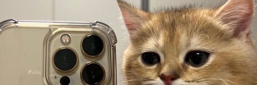 elijahhhsimon's profile banner image