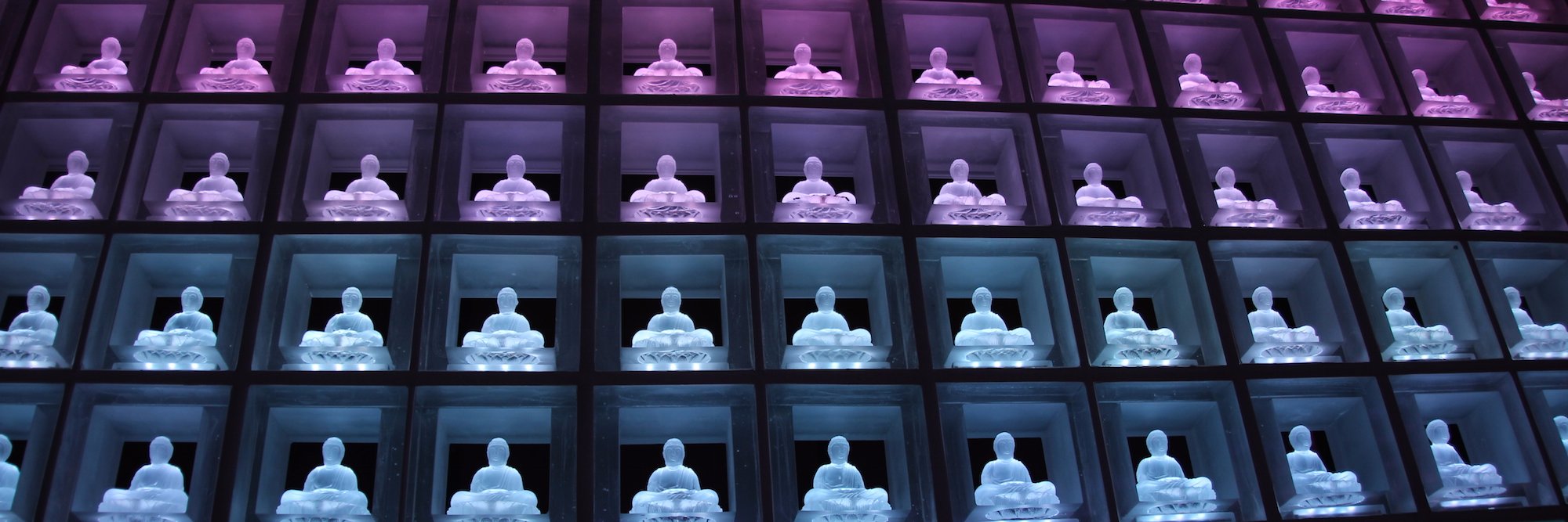 TechBuddhaa's profile banner image