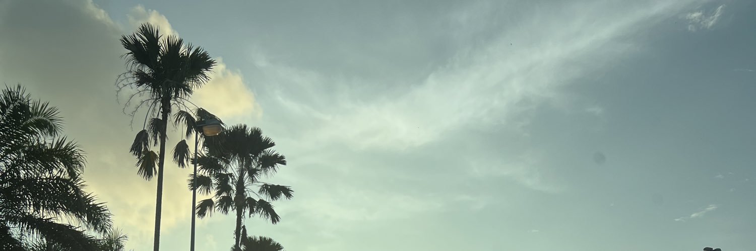 TzhJoshua's profile banner image