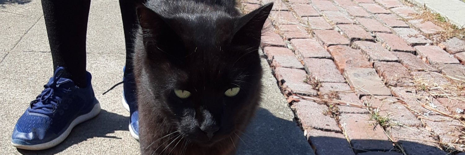 cheaplolboost banner