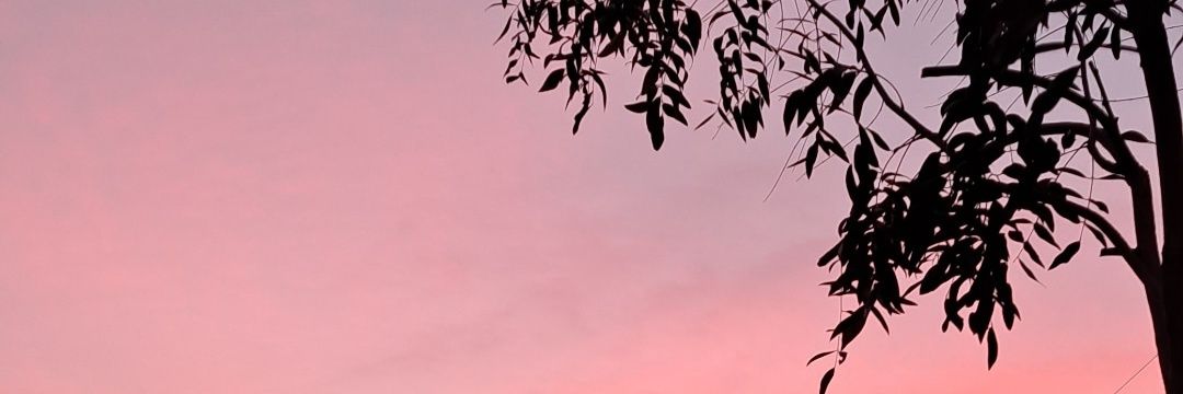 N banner