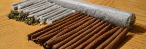 JazenBlunts's profile banner image