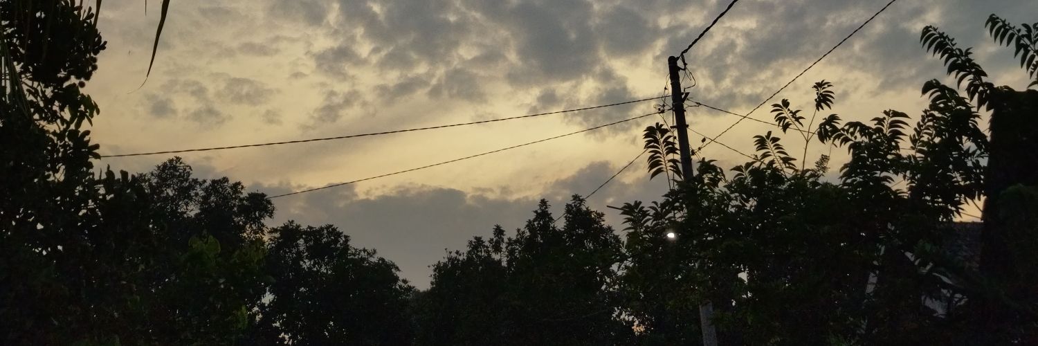 Zynnrh's profile banner image