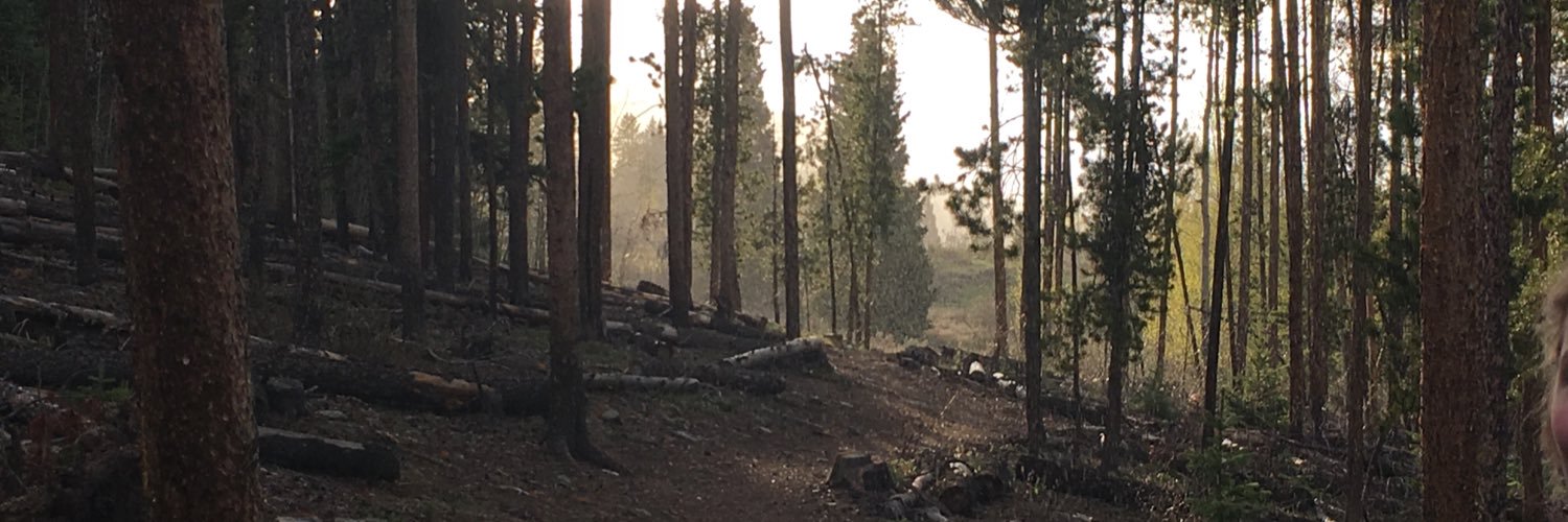 doItLikeARock's profile banner image