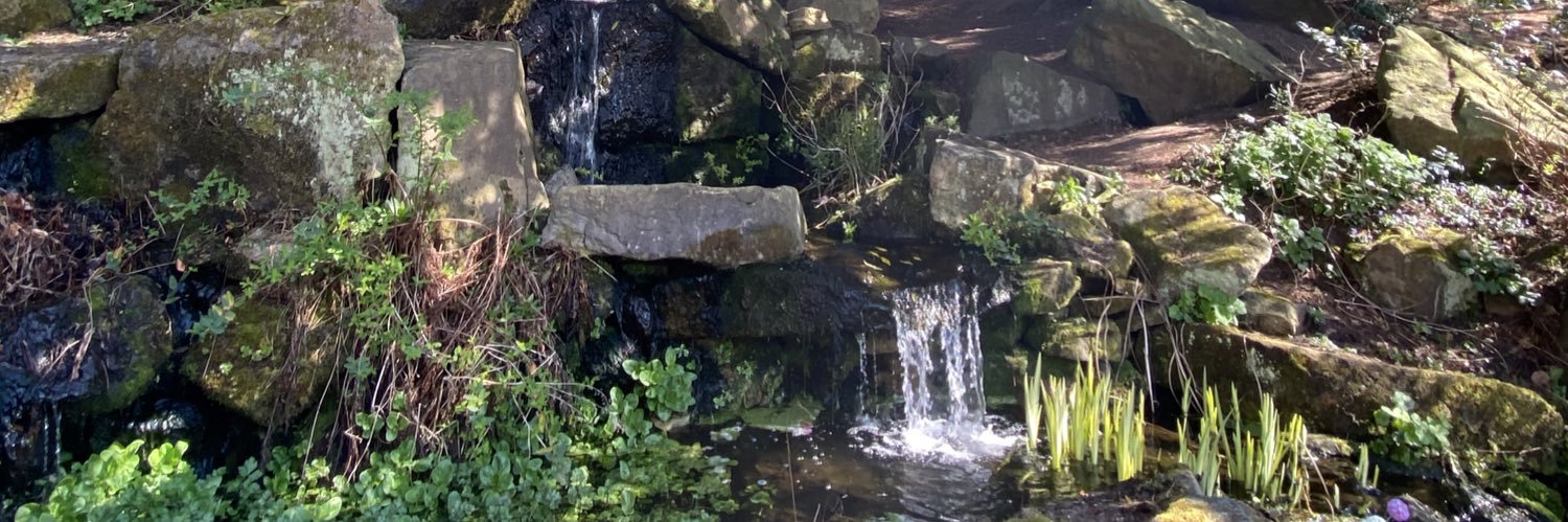 bethsmartt's profile banner image