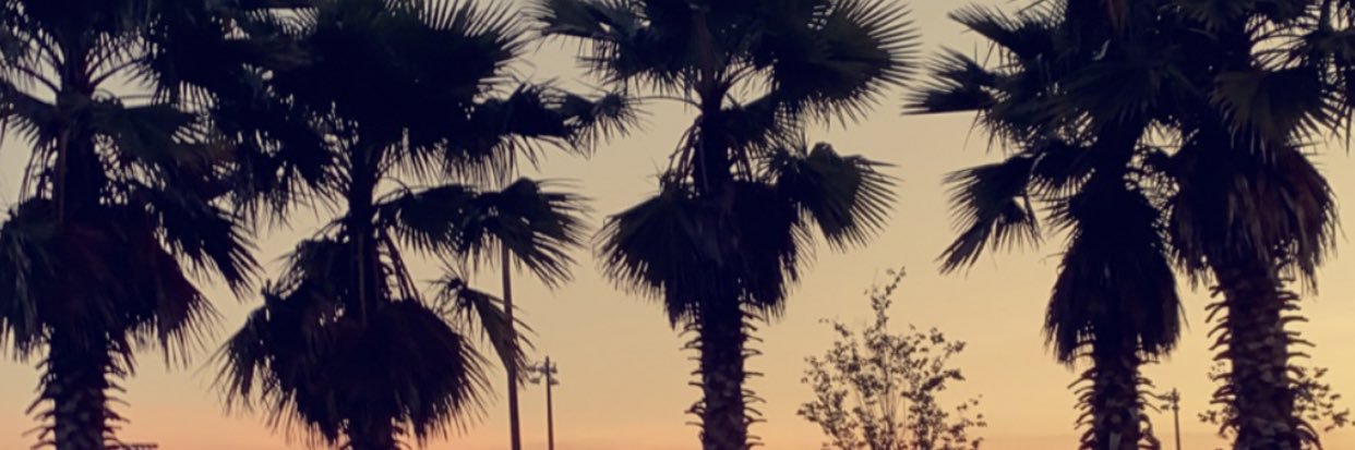 morgan_kaycee's profile banner image