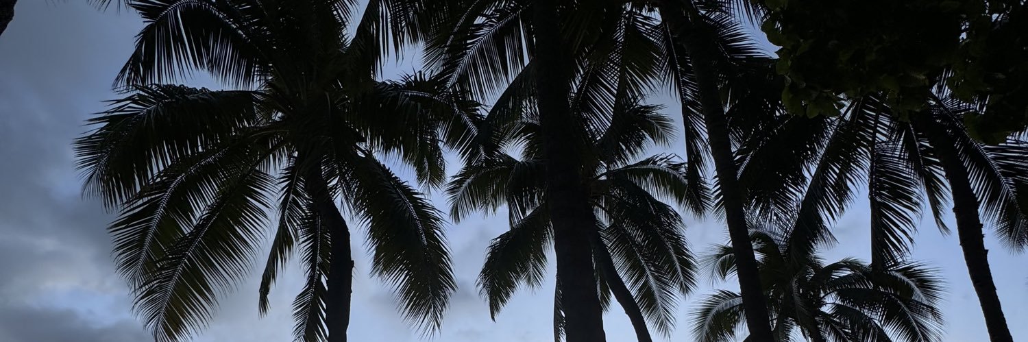 josercruzz's profile banner image