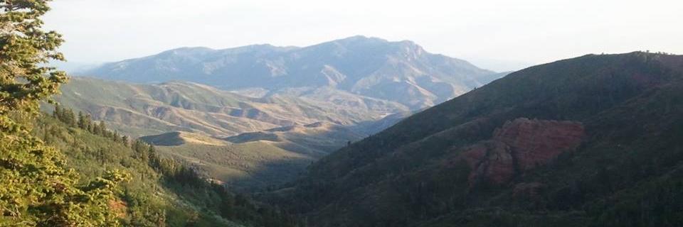 JRMcCaul's profile banner image