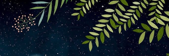 ErBe_kh's profile banner image