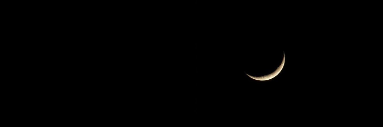 TheDailyDanny2's profile banner image