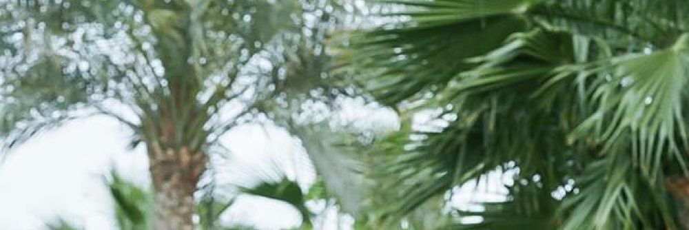 jungkookdotph's profile banner image