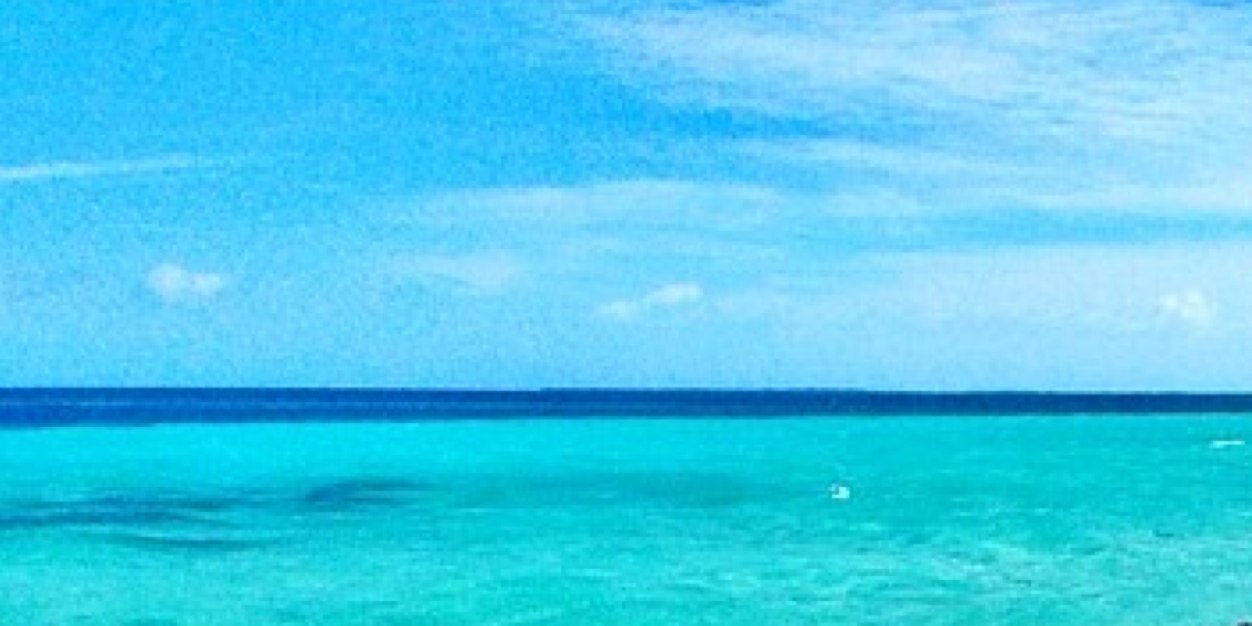 Alexandra_Vzla's profile banner image