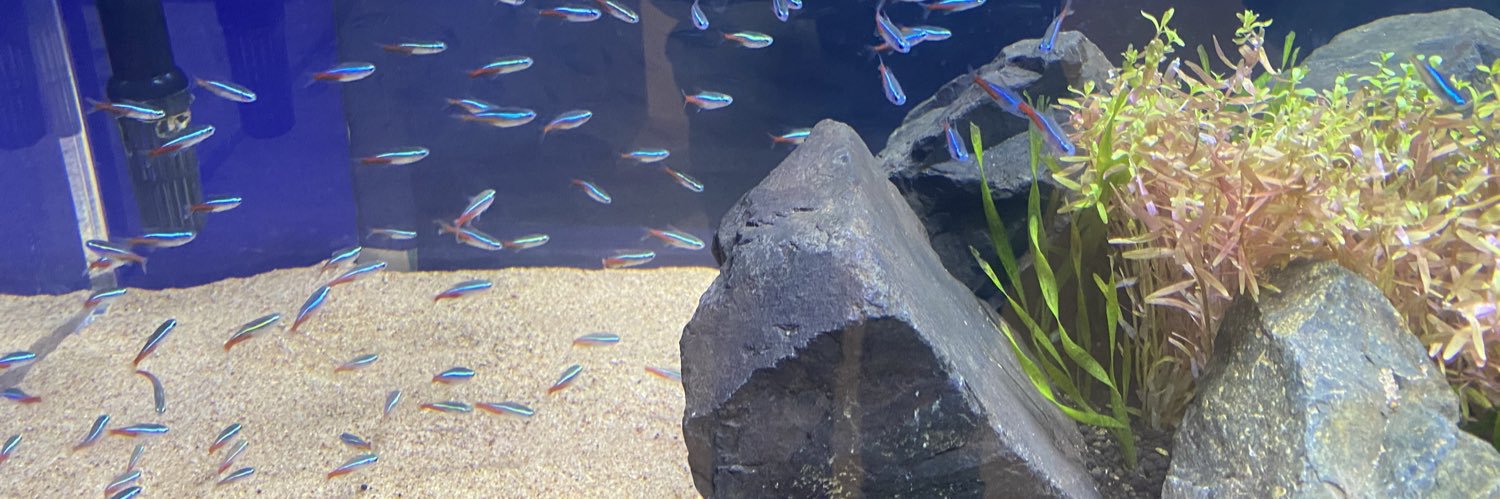 voruomega's profile banner image