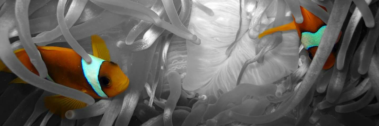 falkinator74's profile banner image