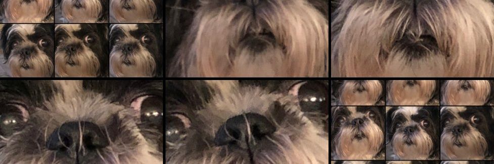 Bixcut's profile banner image
