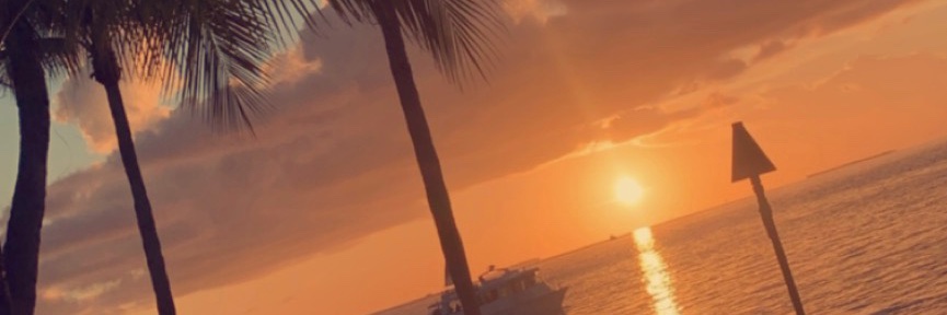anewlif3's profile banner image