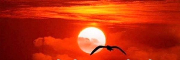 abhaykute Profile Banner
