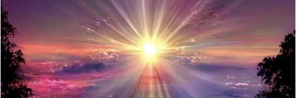 MomWhit 🇺🇲 banner