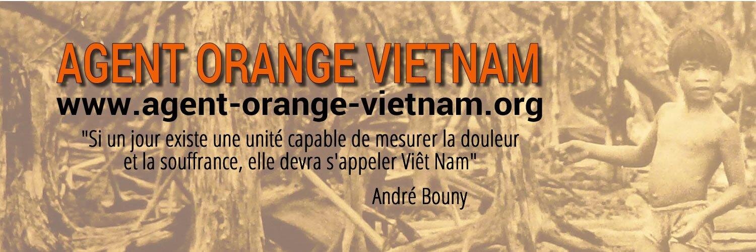 AOVietnam's profile banner image