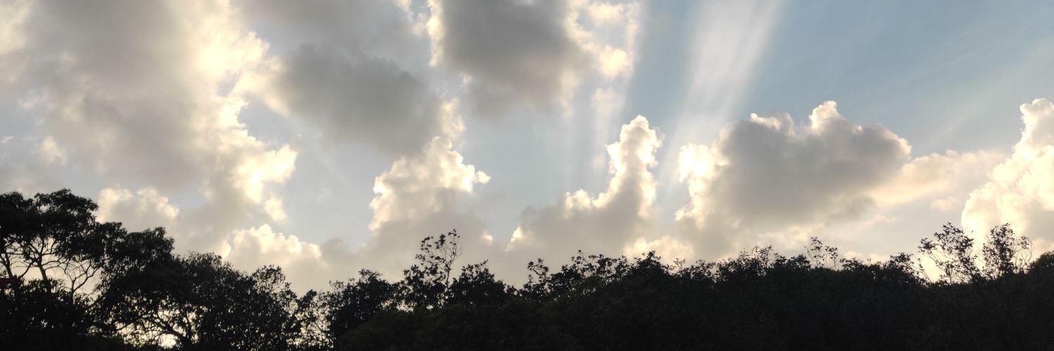 PareshAlizad's profile banner image