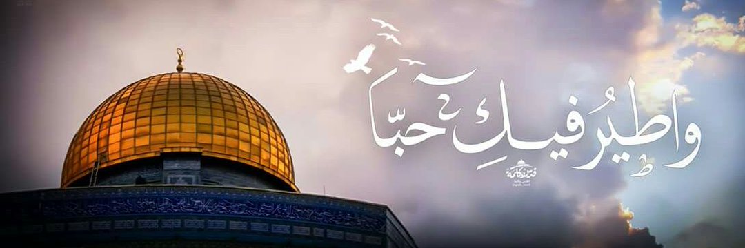 RDaghamin's profile banner image