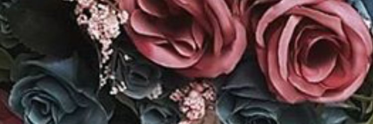 _sureyyaa's profile banner image