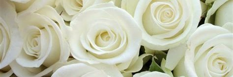 WhiteRose #PoliticallyEvicted banner