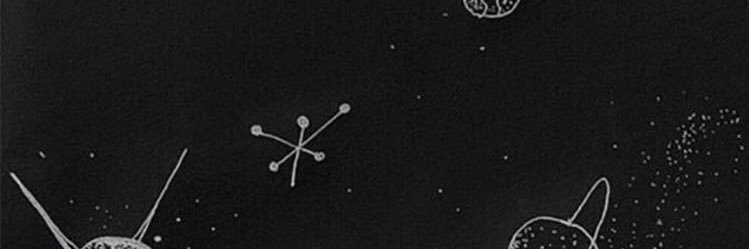 sam banner