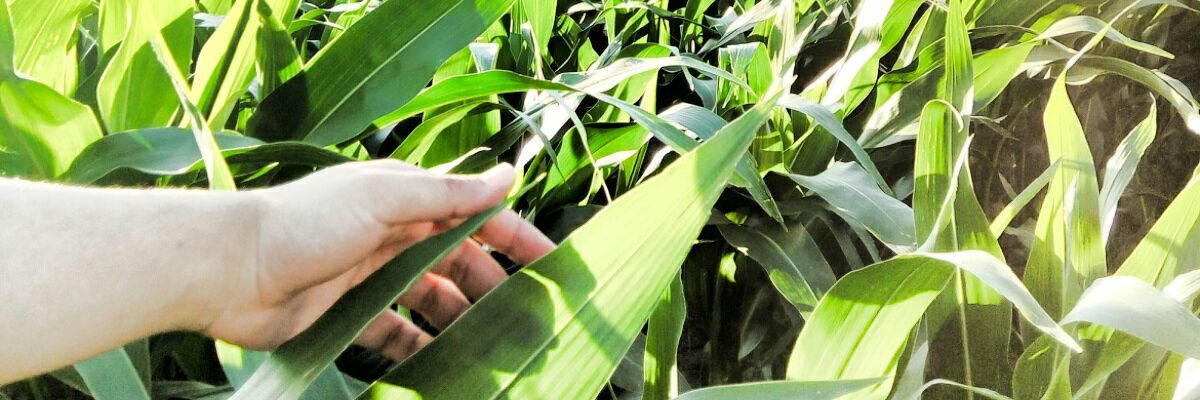 furkanskn's profile banner image