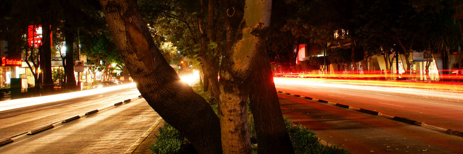elidiomaro's profile banner image