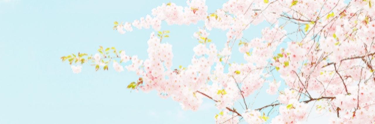 armyofcraic's profile banner image
