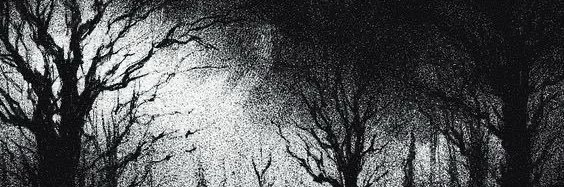 53382's profile banner image