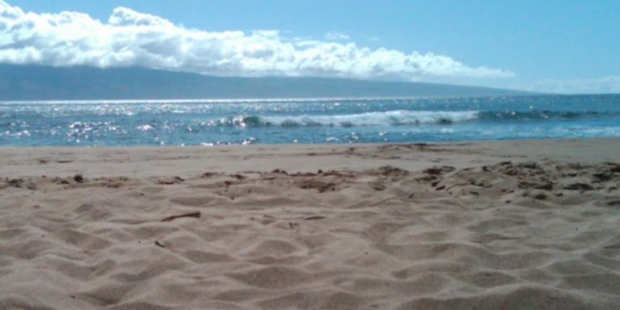 heidimote's profile banner image