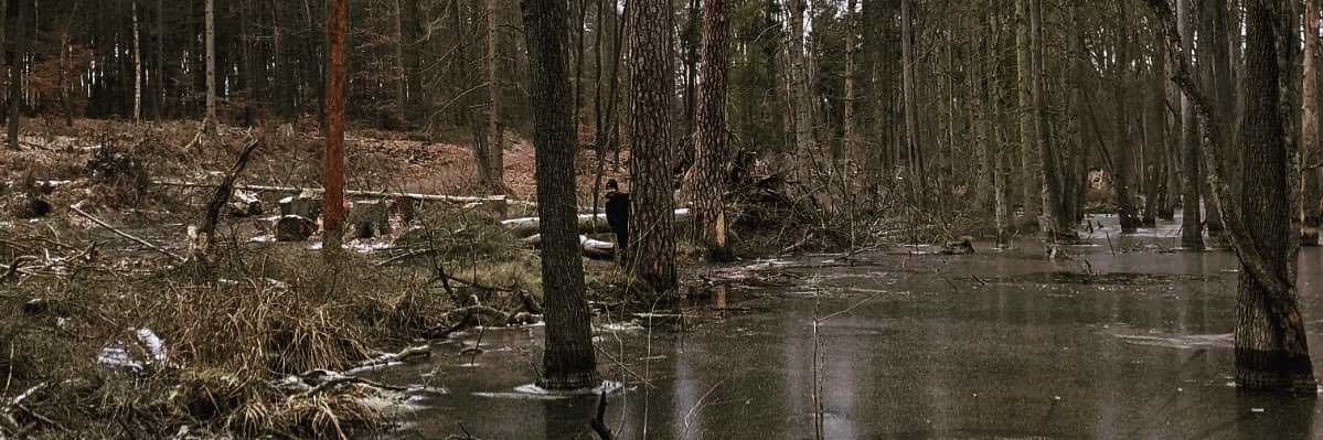 LuisaHofmeier's profile banner image